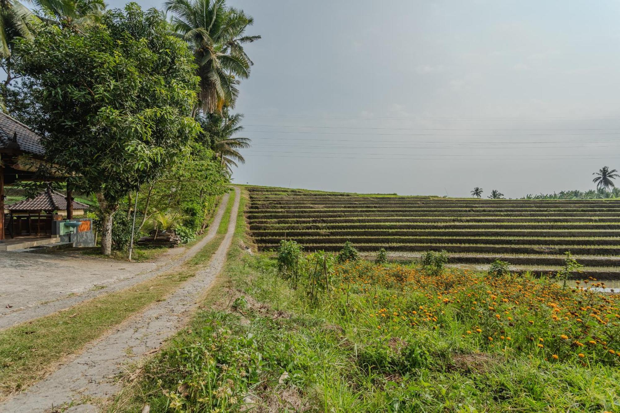 Pondok Hari Baik Balian Exterior photo